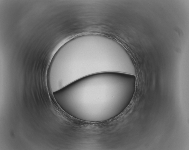 X0000113990100200910021018