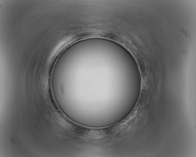X0000113990101200910021018