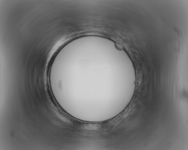 X0000113990102200910021018