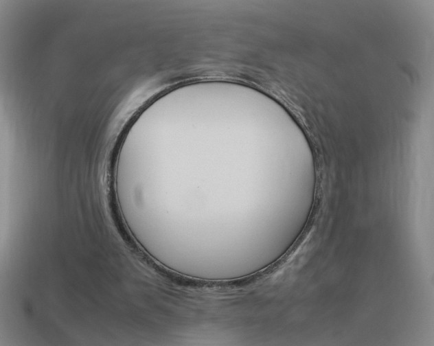 X0000113990103200910021018