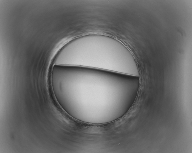 X0000113990104200910021018