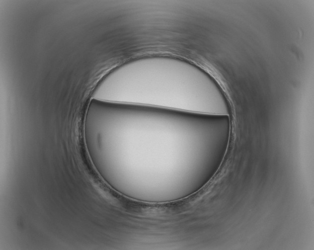 X0000113990105200910021018