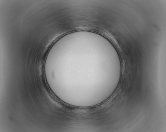 X0000113990106200910021018