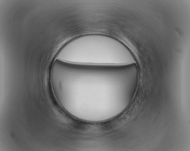 X0000113990107200910021018