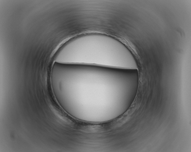 X0000113990108200910021018