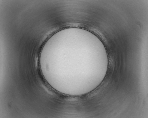 X0000113990110200910021018