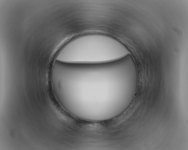 X0000113990112200910021018