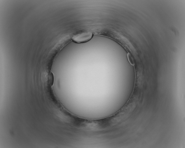 X0000113990113200910021018