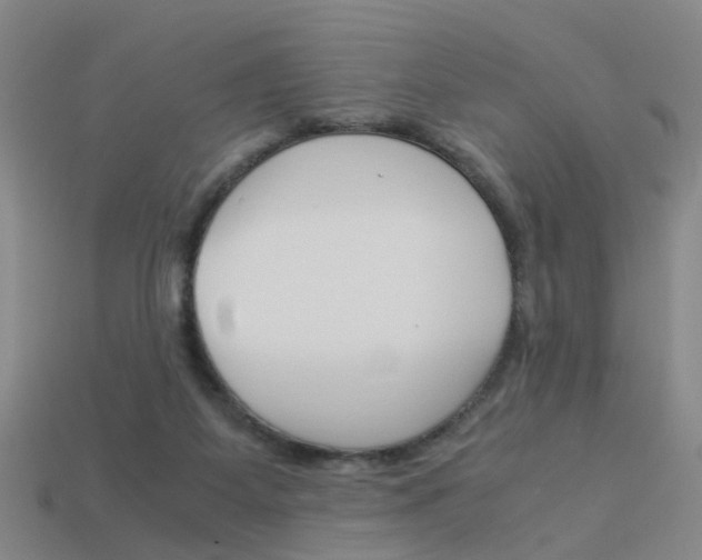 X0000113990115200910021018