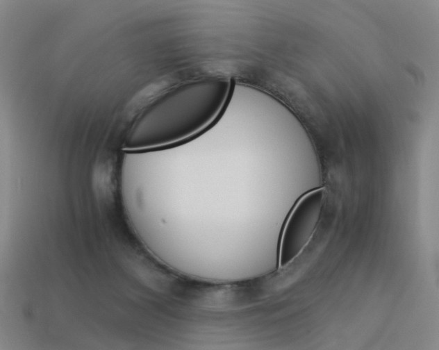 X0000113990116200910021018