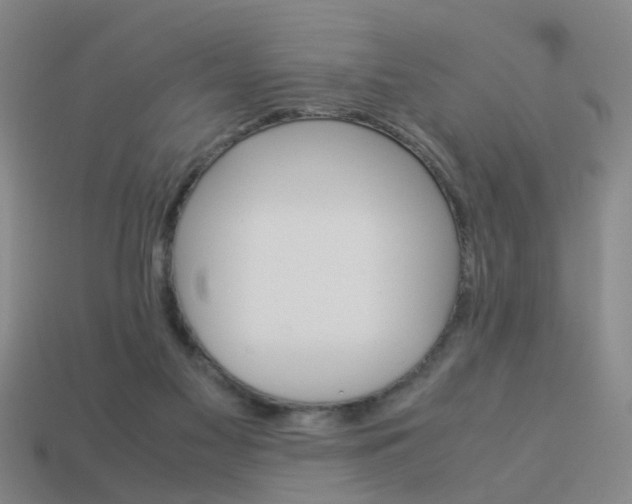 X0000113990117200910021018