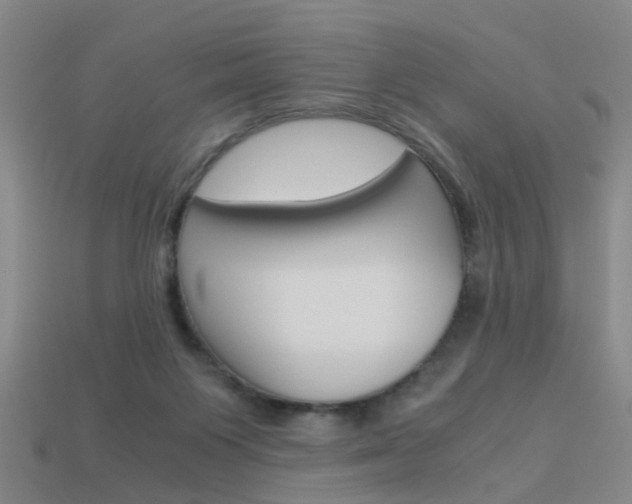 X0000113990119200910021018