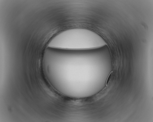 X0000113990120200910021018