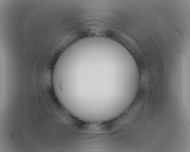 X0000113990121200910021018