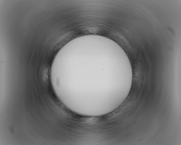 X0000113990122200910021018