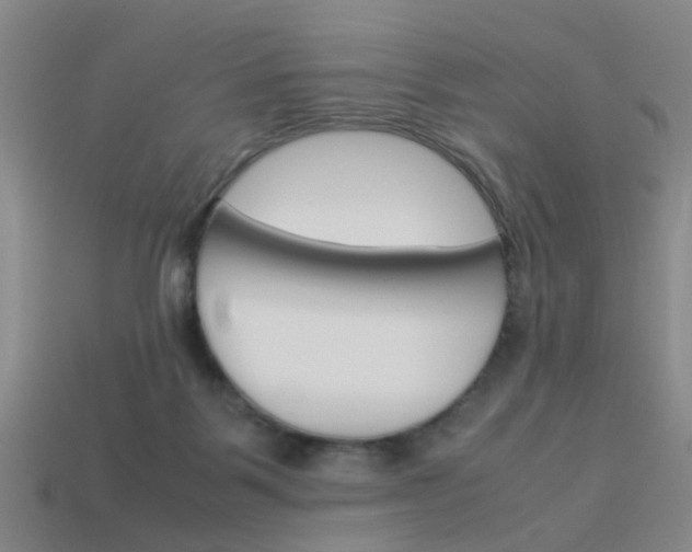 X0000113990123200910021018