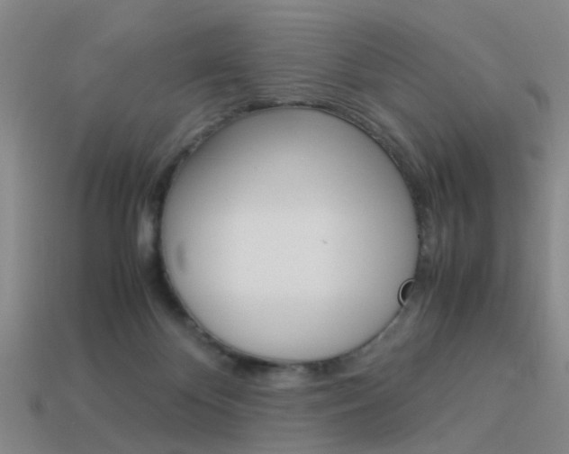 X0000113990124200910021018
