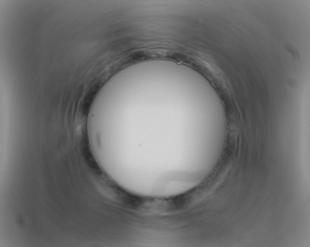 X0000113990125200910021018