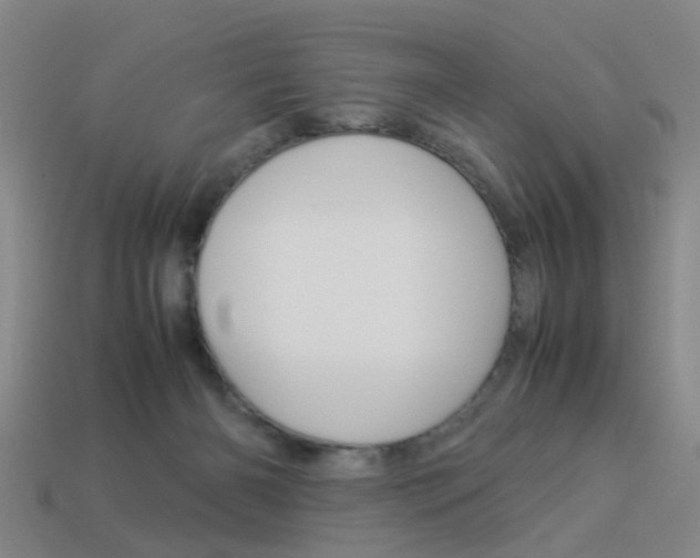 X0000113990126200910021018