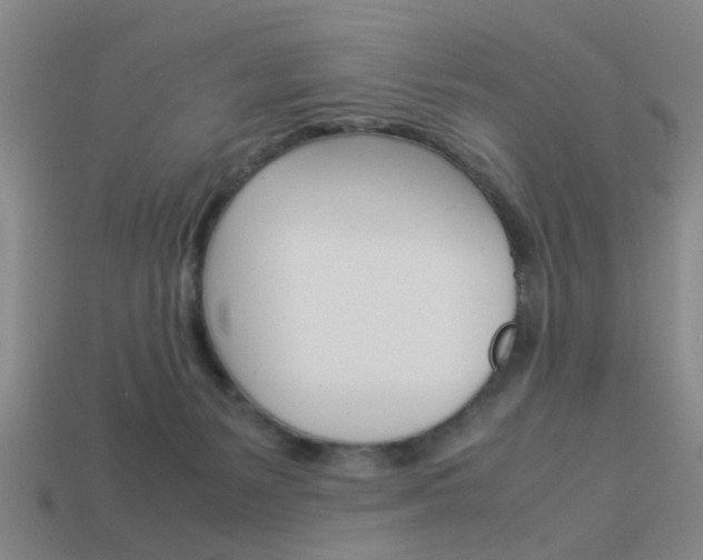 X0000113990127200910021018
