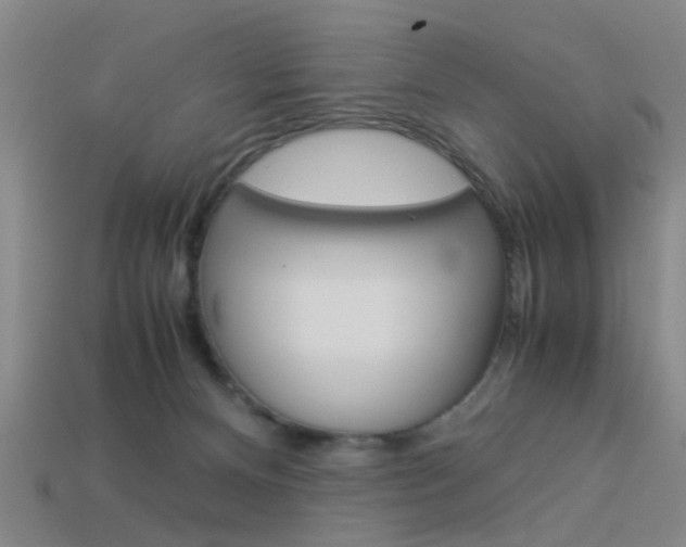 X0000113990128200910021018