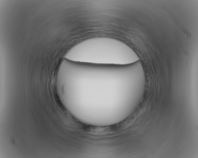 X0000113990129200910021018