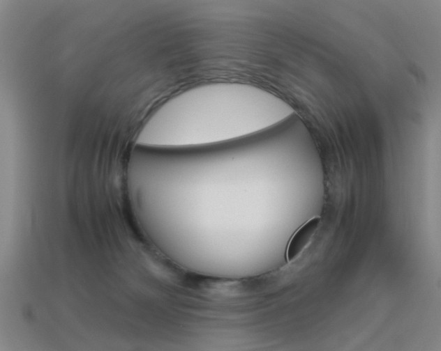 X0000113990132200910021018