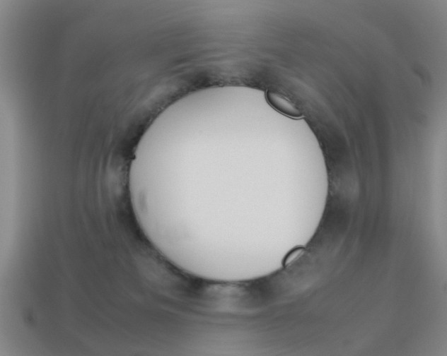 X0000113990133200910021018