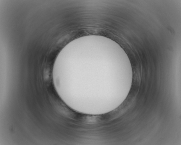 X0000113990134200910021018
