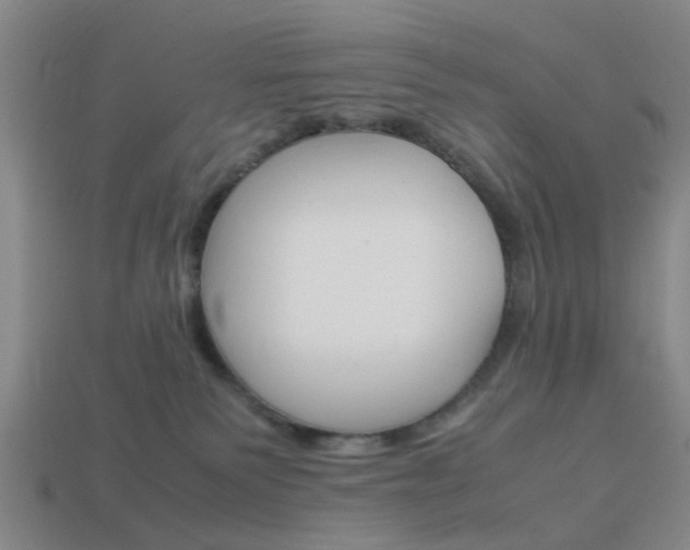 X0000113990135200910021018