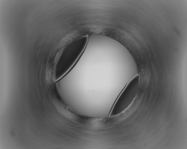 X0000113990136200910021018