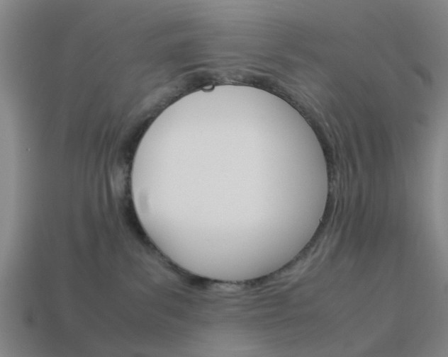 X0000113990139200910021018