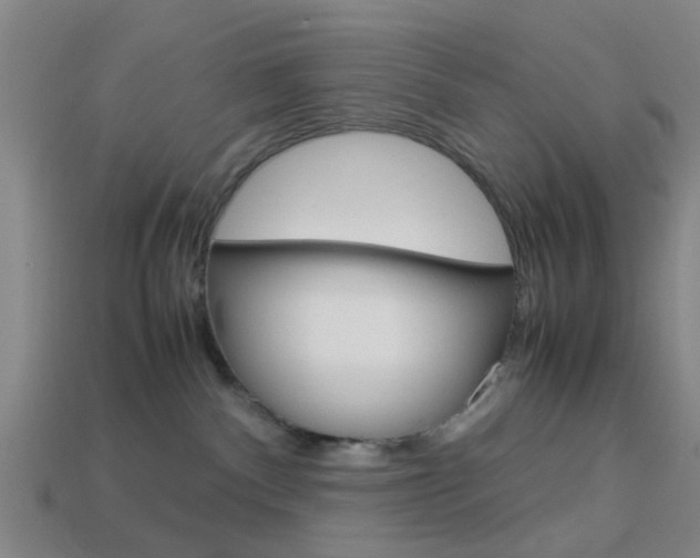 X0000113990140200910021017