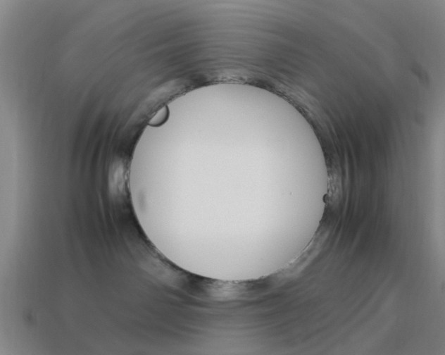 X0000113990142200910021017