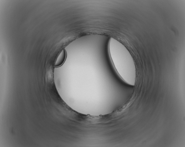 X0000113990143200910021017