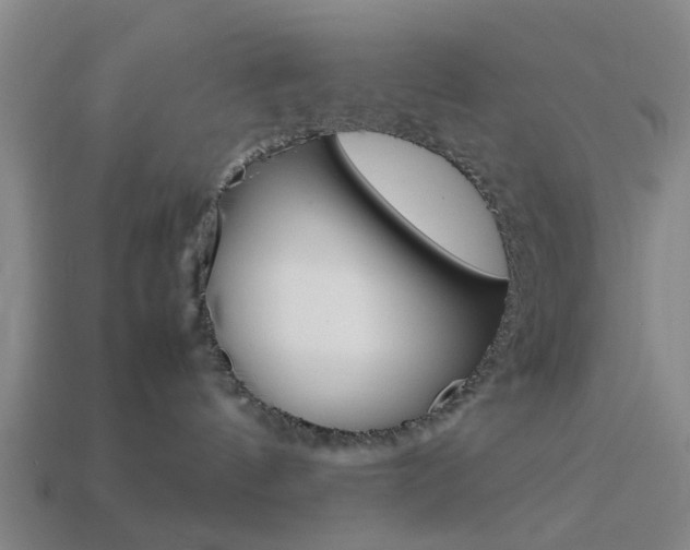 X0000113990144200910021017