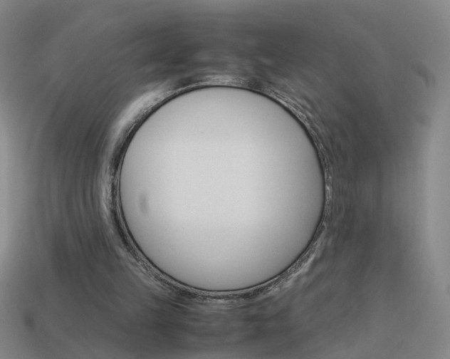 X0000113990149200910021017