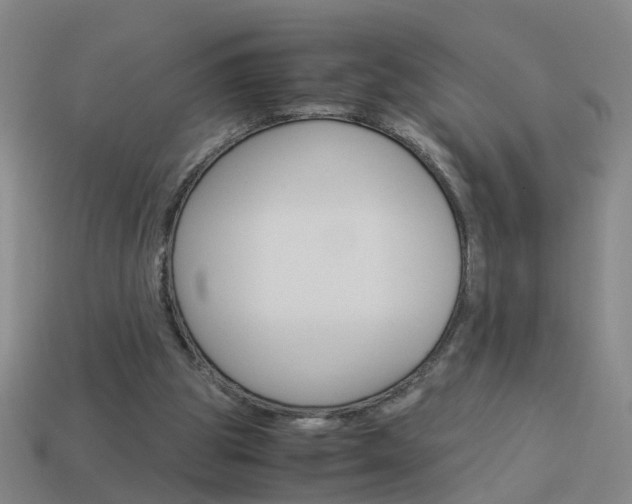 X0000113990153200910021017