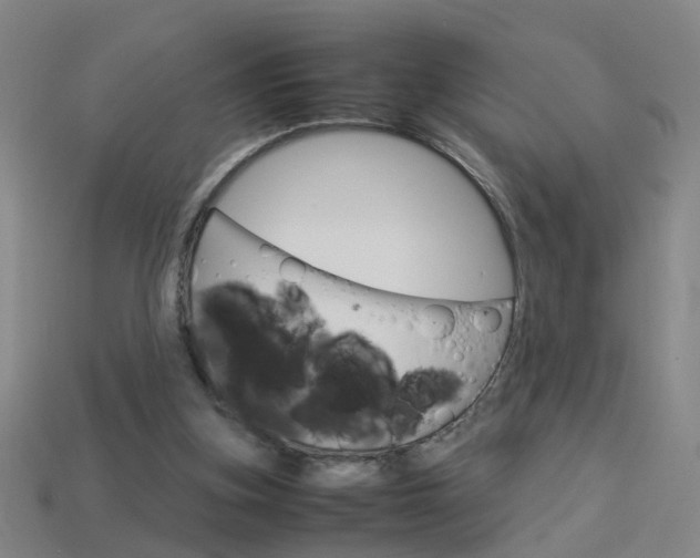 X0000113990155200910021017