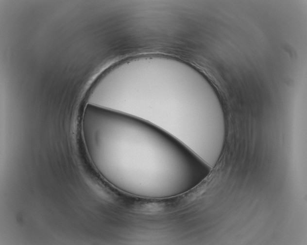 X0000113990156200910021017