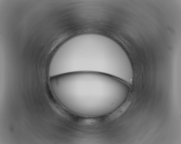 X0000113990158200910021017