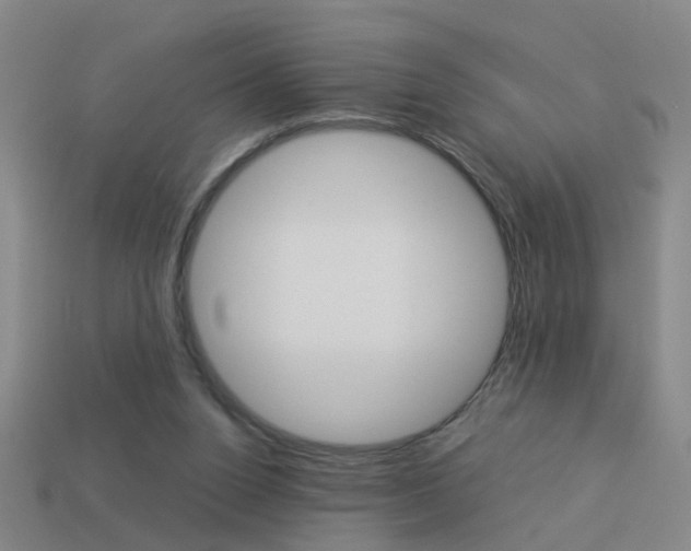 X0000113990160200910021017