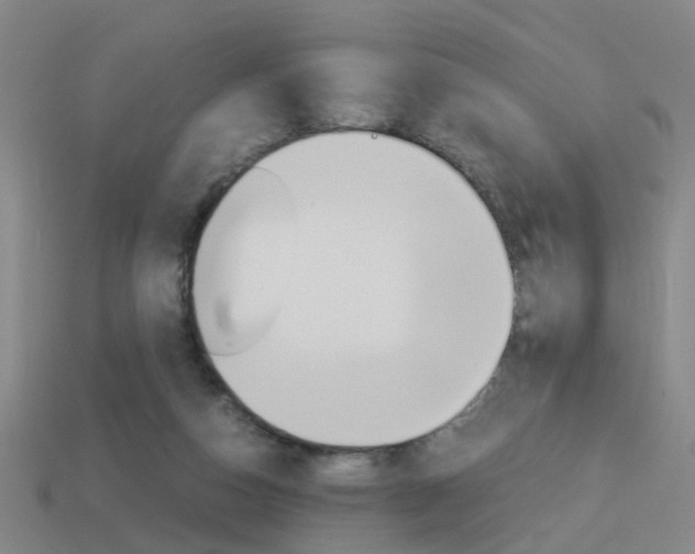 X0000113990162200910021017