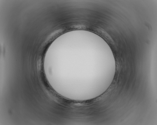 X0000113990163200910021017