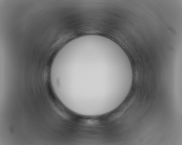 X0000113990165200910021017