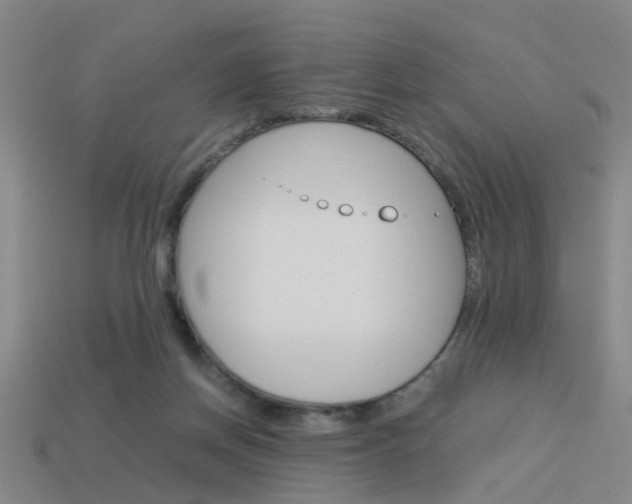 X0000113990166200910021017