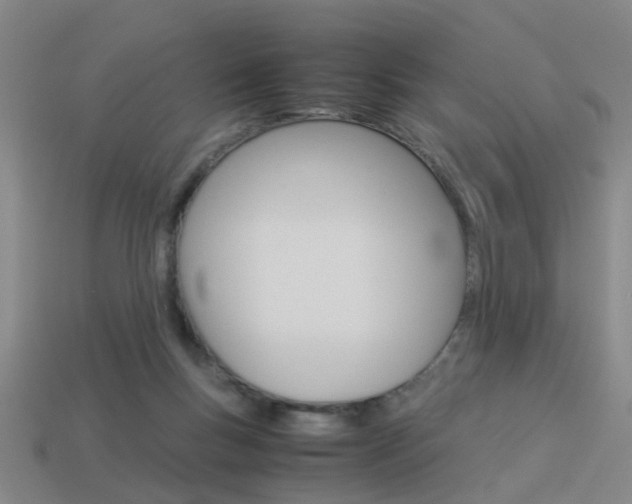 X0000113990167200910021017