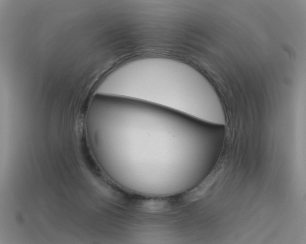X0000113990168200910021017