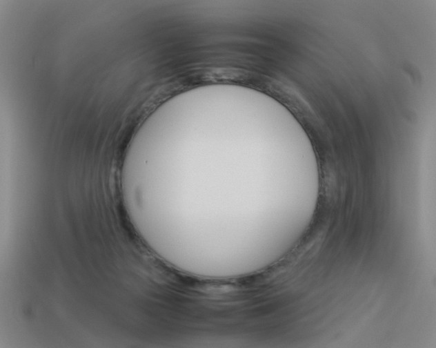 X0000113990169200910021017