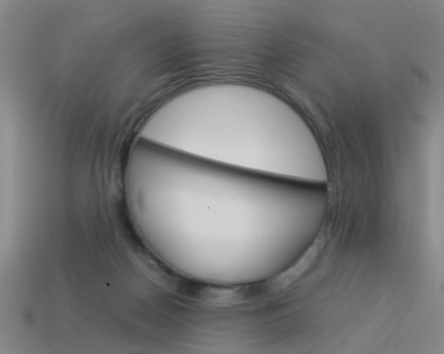 X0000113990170200910021017